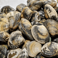 Coquillage, Crustacés au marché de rungis - Pavillon de la Marée